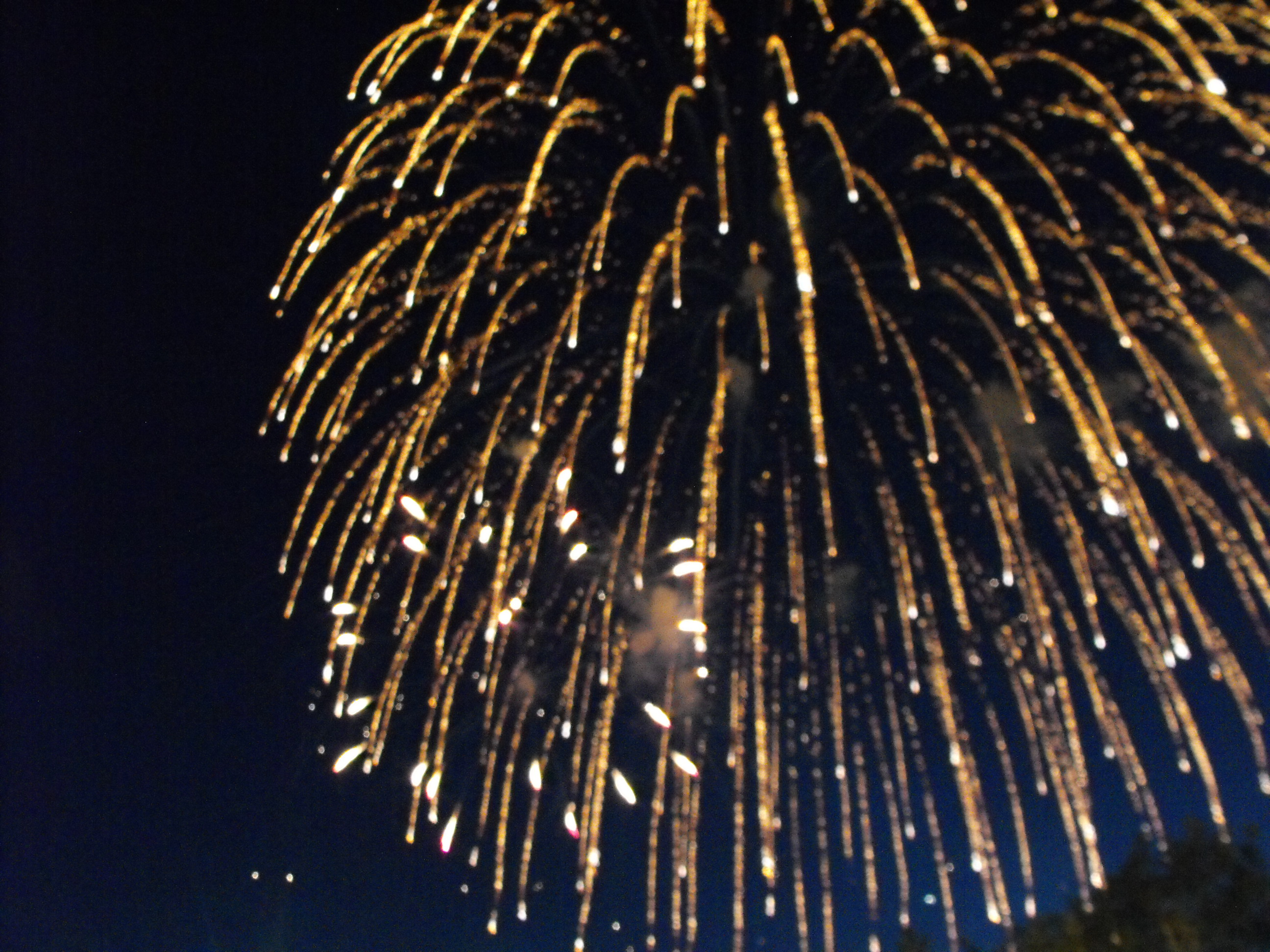 ./2010/Fourth of July/4th July Fireworks Wilm 0029.JPG
